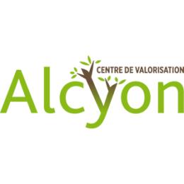 alcyon cenov